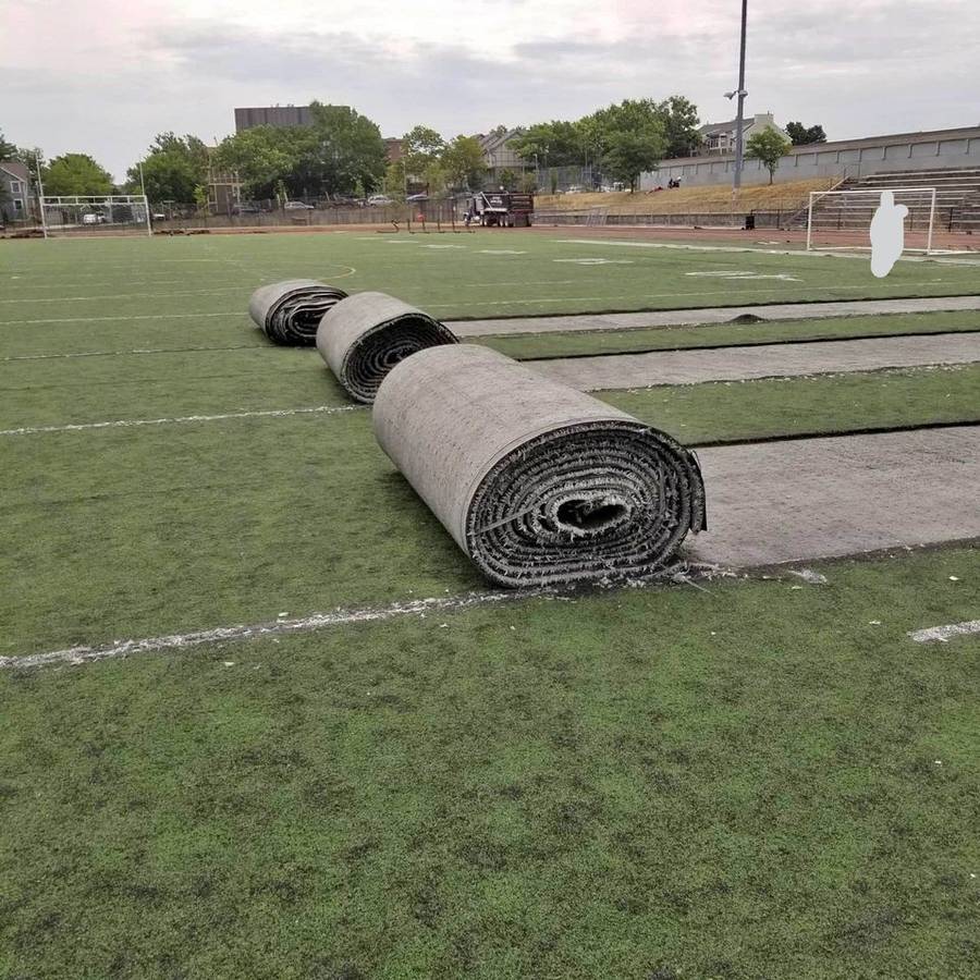 Artificial grass used (coachella