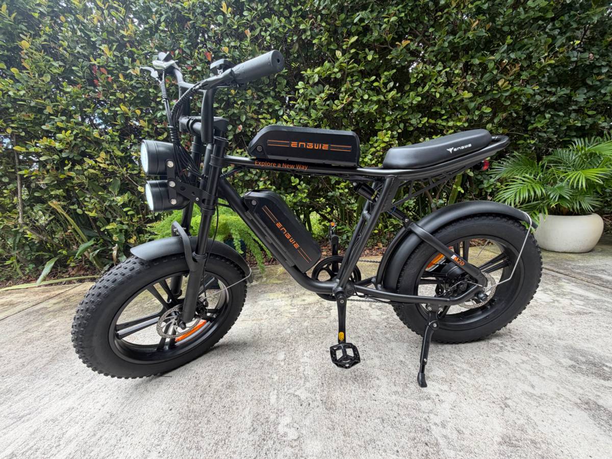 ENGWE M20 Electric Bike / Dual Battery