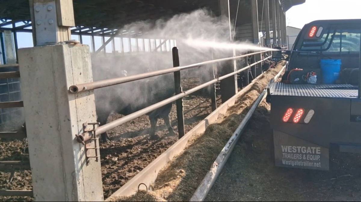 CATTLE FOGGER