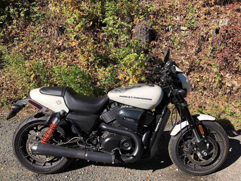 2018 Harley-Davidson Street Rod Bonneville Salt Denim