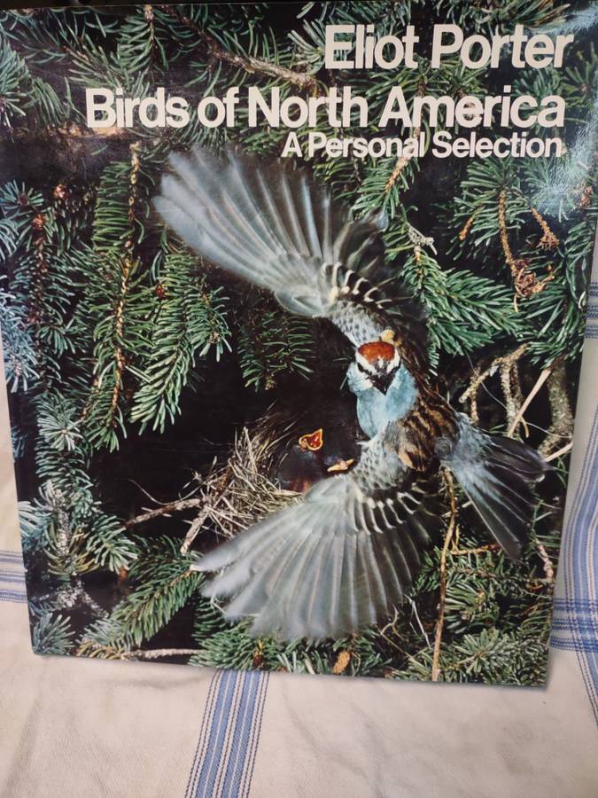 Birds of north America