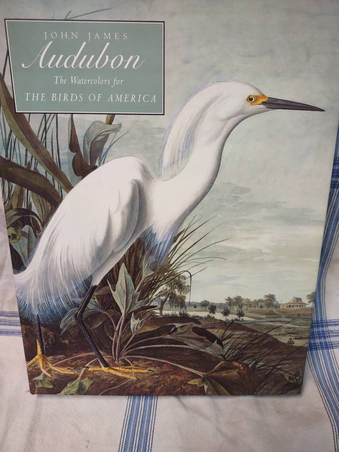Watercolors for the birds of America