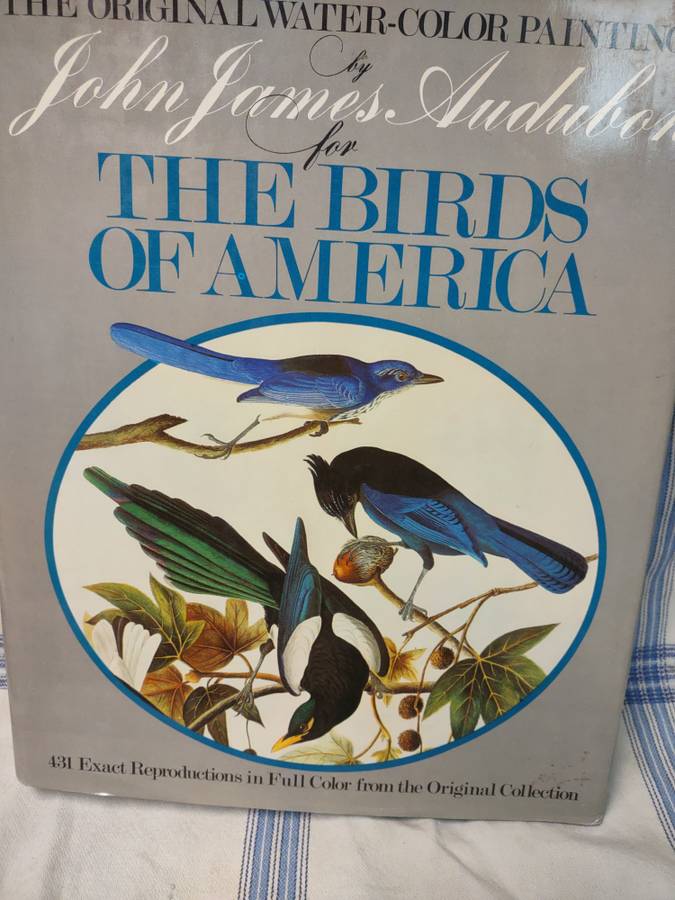 The birds of America Audubon water color paintings