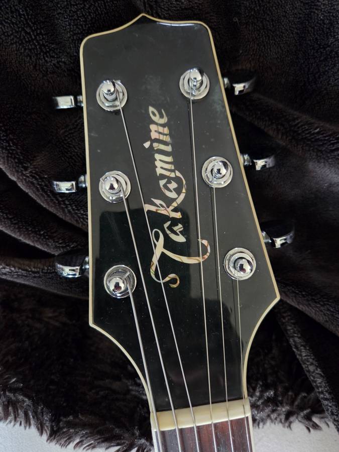 Takamine Limited 96 Acoustic/Electric Guitar