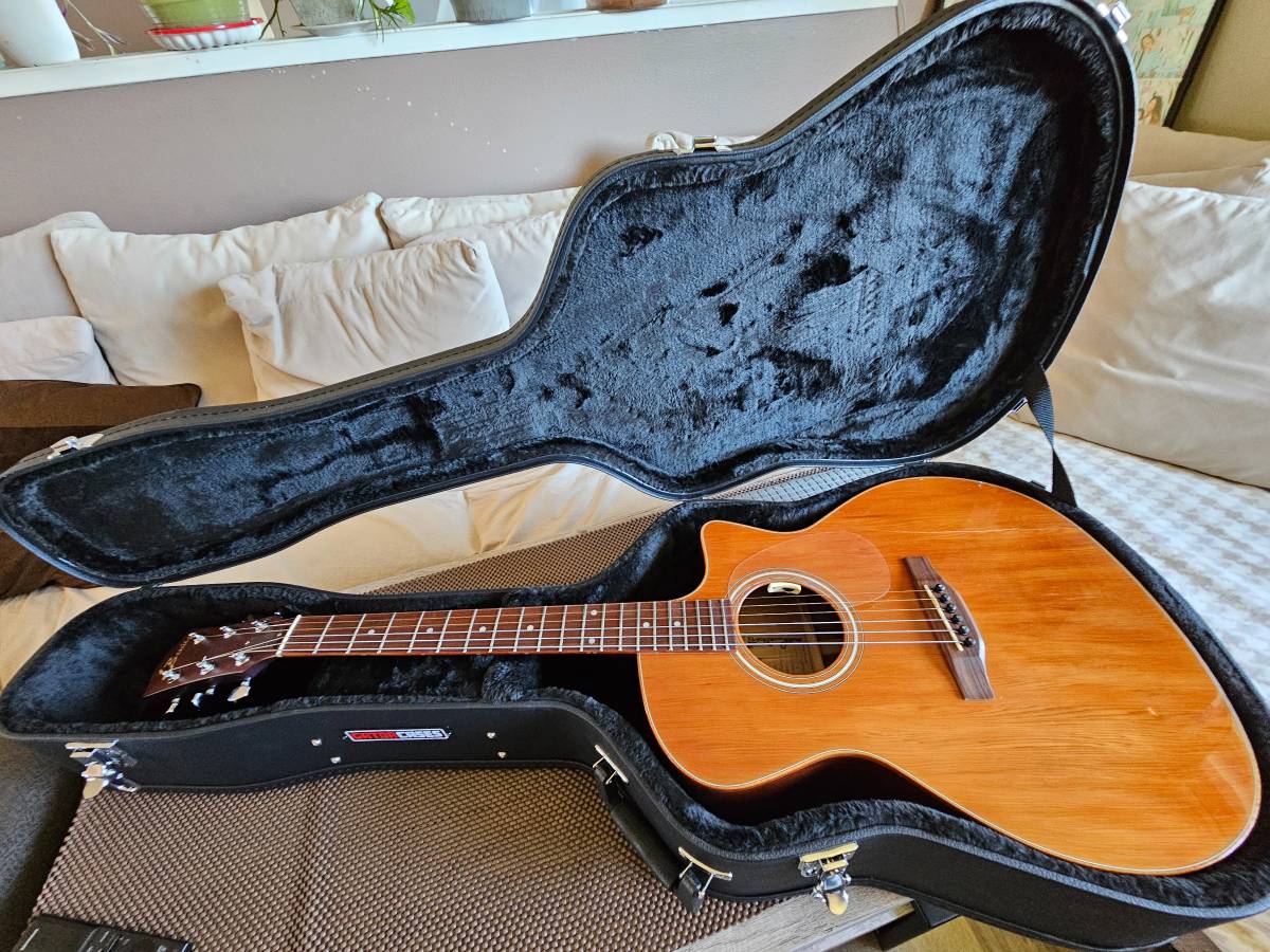 Luthier-Built L. Benito guitar