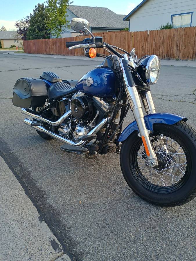 2015 Harley Soft Tail Slim