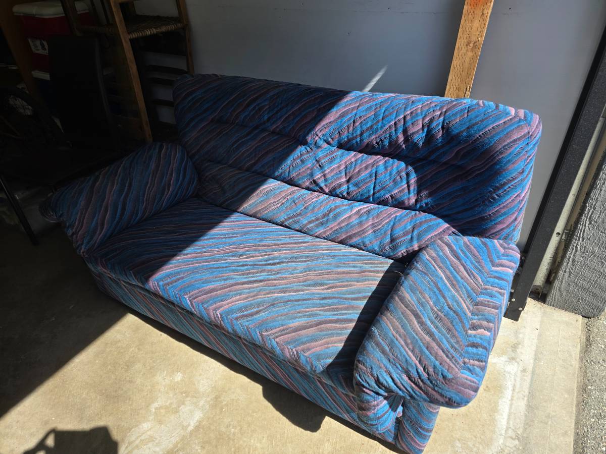 free] Twin-sized sofa bed