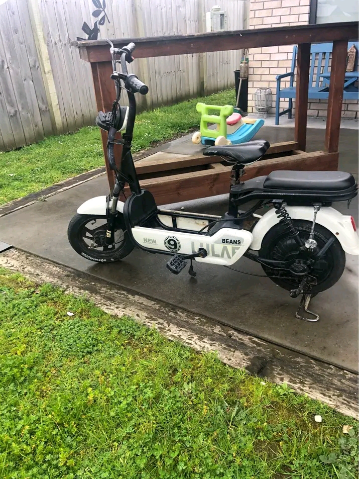 Electric scooter 